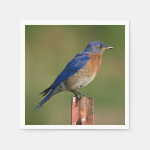 Bluebird Napkin