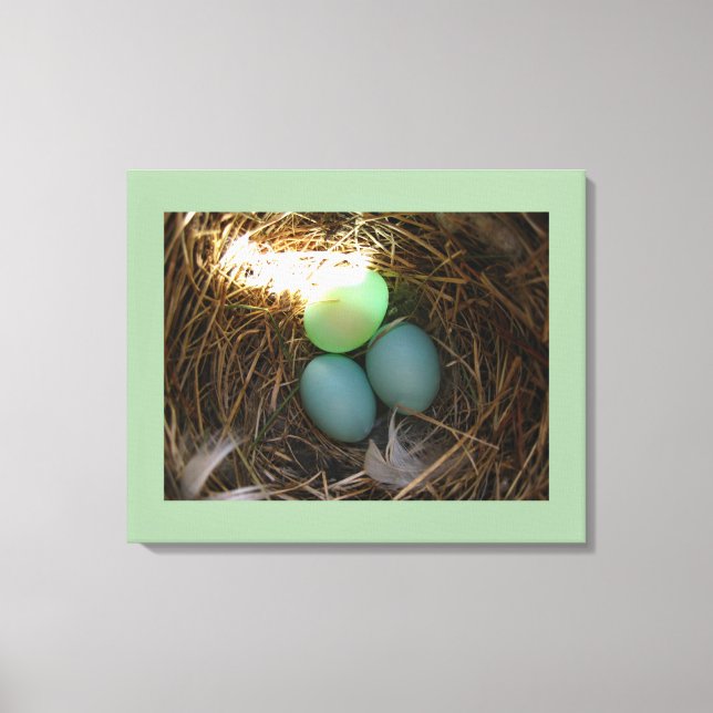 Bluebird Nest & Eggs Canvas Print (Front)