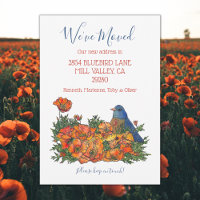 Bluebird New Address Announcement