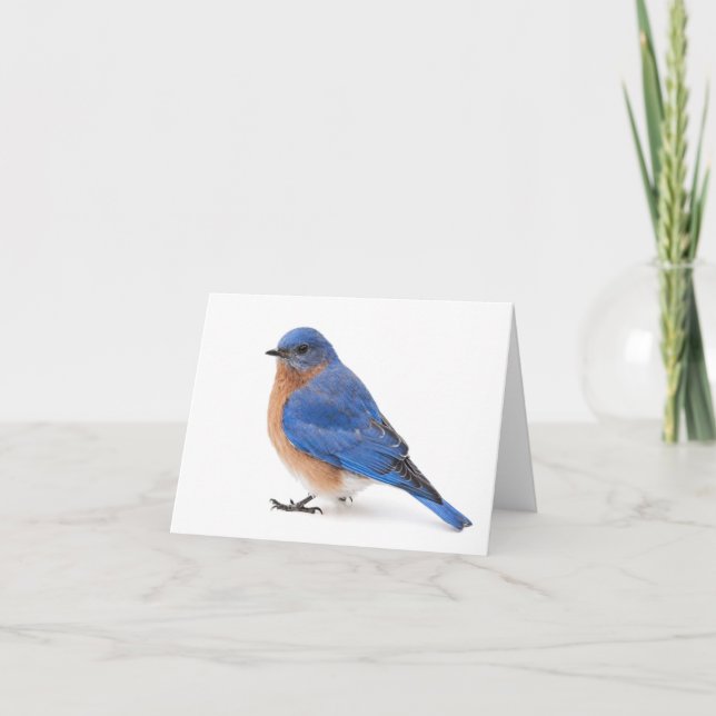 Bluebird Note Card (Front)