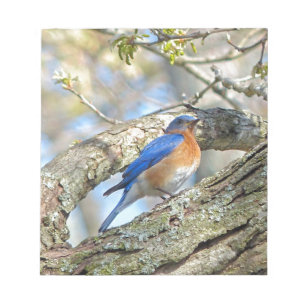 Bluebird Notepad