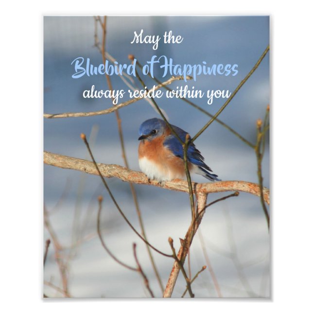 Bluebird Of Happiness Inspirational 8x10 Photo Print (Front)