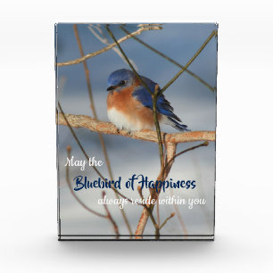 Bluebird Of Happiness Inspirational Photo Block