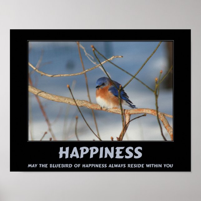 Bluebird Of Happiness Inspirational Poster (Front)