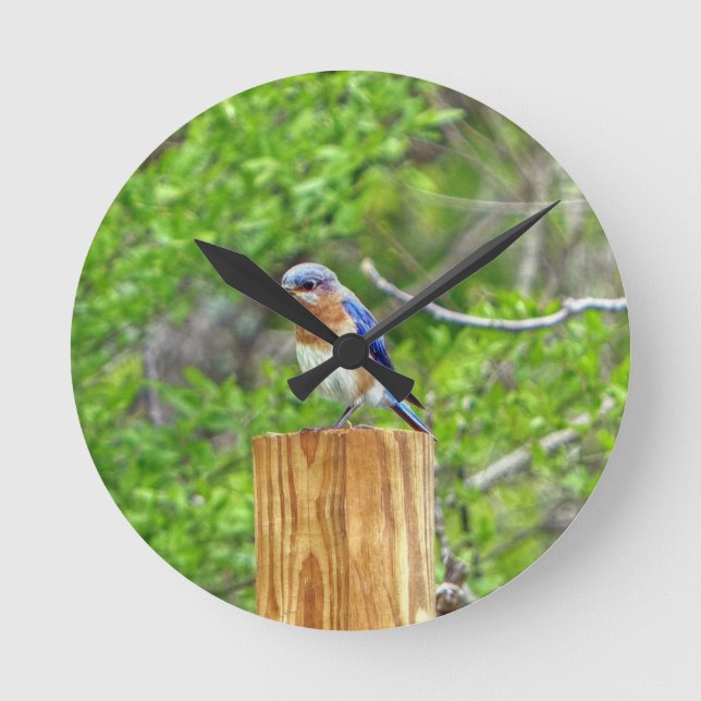 Bluebird on a Fence Post Round Clock (Front)