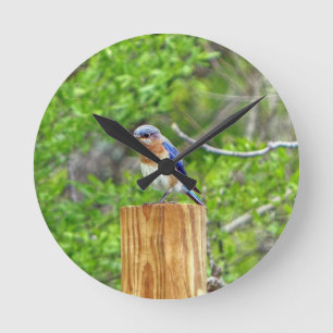Bluebird on a Fence Post Round Clock