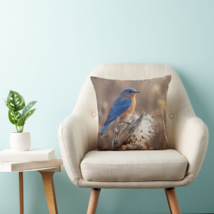 Bluebird on a Milkweed Pod Cushion