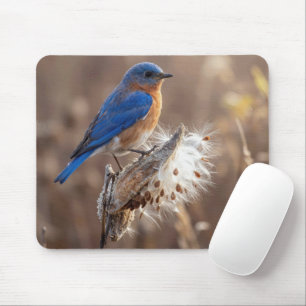 Bluebird on a Milkweed Pod Mouse Pad