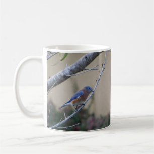 Bluebird on Branch Eastern Bluebird Lovers Coffee Mug