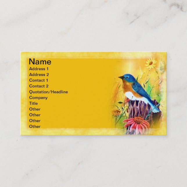 Bluebird Painting Business Cards (Front)
