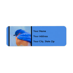 Bluebird Painting - Original Bird Art