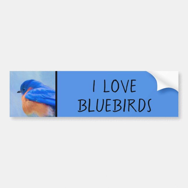 Bluebird Painting - Original Bird Art Bumper Sticker (Front)