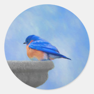 Bluebird Painting - Original Bird Art Classic Round Sticker