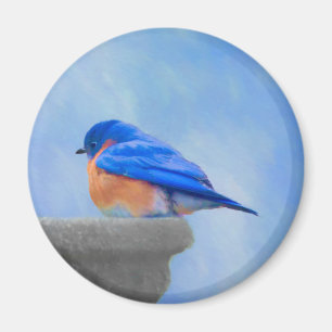 Bluebird Painting - Original Bird Art Magnet