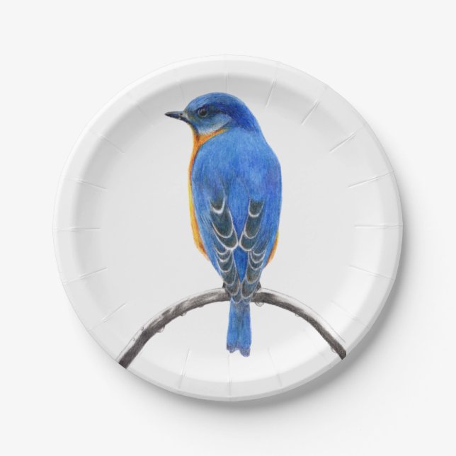 Bluebird Paper Plate (Front)