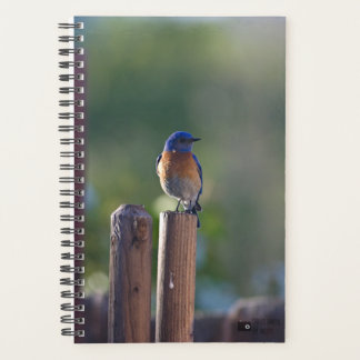 Bluebird Planner