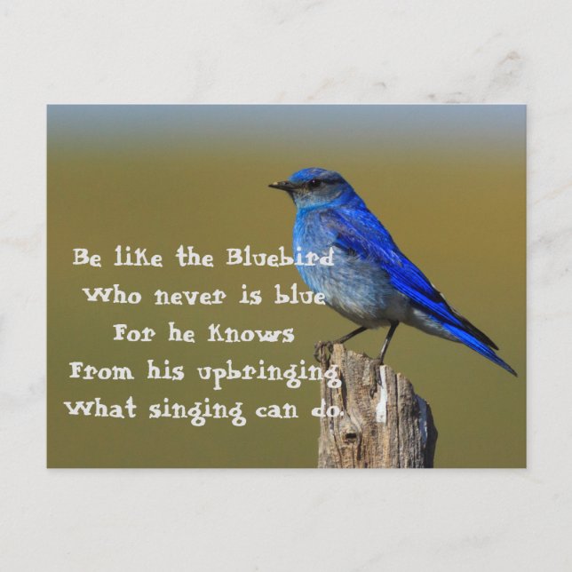 Bluebird Quote Postcard (Front)