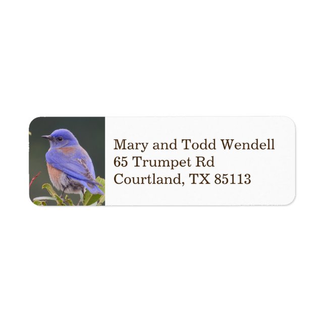 Bluebird return address label (Front)