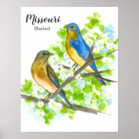 Bluebird State Bird of Missouri