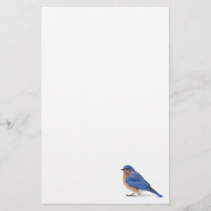 Bluebird Stationery