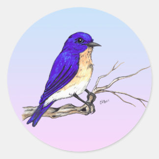 Bluebird Sticker