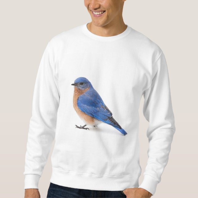 Bluebird Sweatshirt (Front)