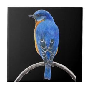 Bluebird Tile