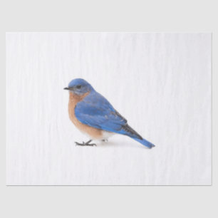 Bluebird Tissue Paper