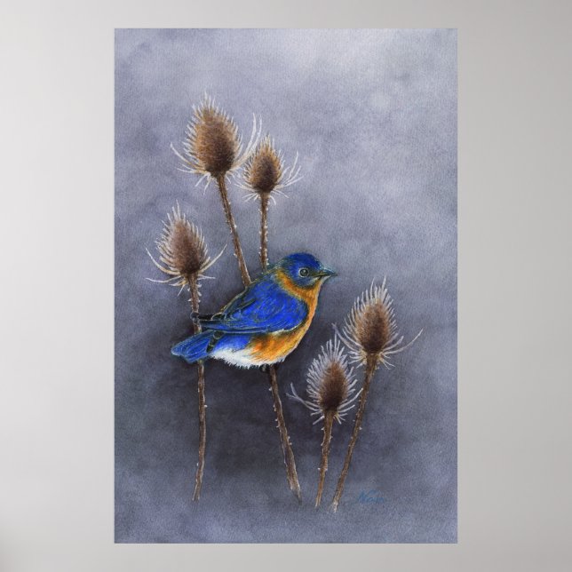 Bluebird watercolor Poster Print (Front)