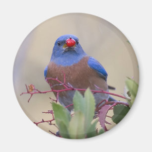 Bluebird with Berry Magnet