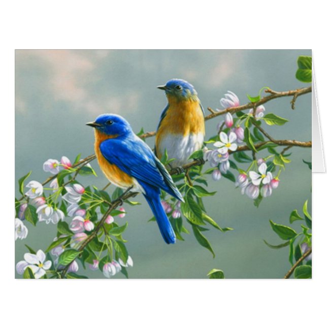 Bluebirds (Front Horizontal)