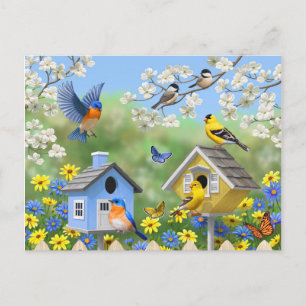 Bluebirds Goldfinches Birdhouses Flower Garden Postcard