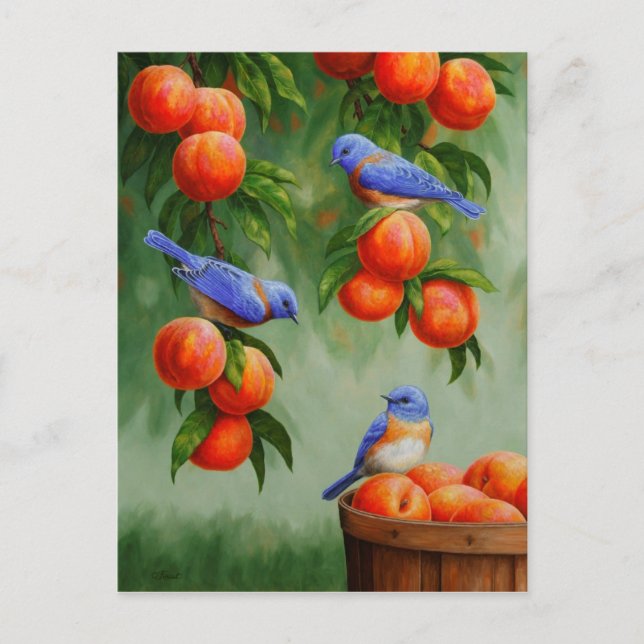 Bluebirds in a Peach Tree Orchard Postcard (Front)
