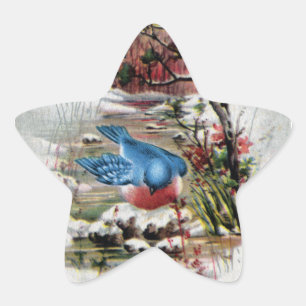 Bluebirds in Winter Vintage Christmas Star Sticker