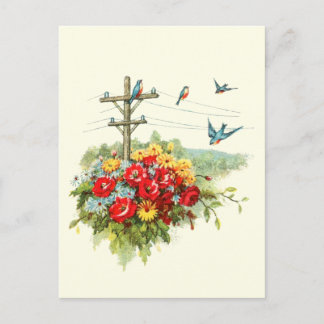 Bluebirds on Power Line Postcard