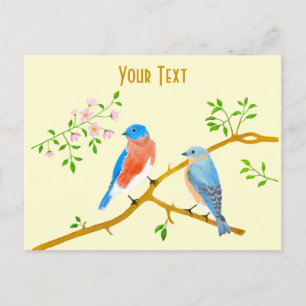 Bluebirds Postcard
