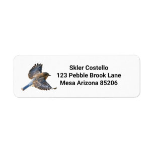 Bluebirds Return Address Labels