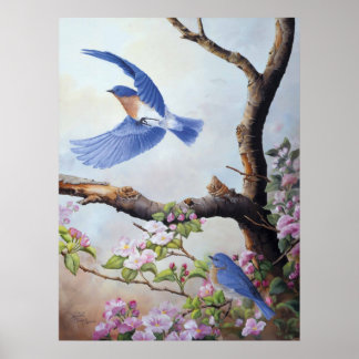 "Bluebirds" UV Canvas Printes Poster