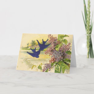 Bluebirds Vintage All Occasions Greeting Card