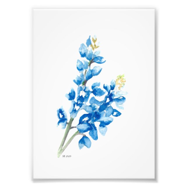 Bluebonnet 4 photo print (Front)