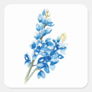 Bluebonnet 4 square sticker