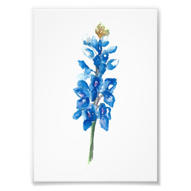 Bluebonnet 5 photo print (Front)
