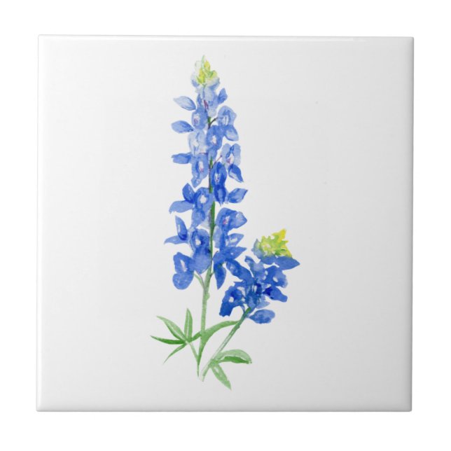 Bluebonnet 7 Ceramic Tile (Front)