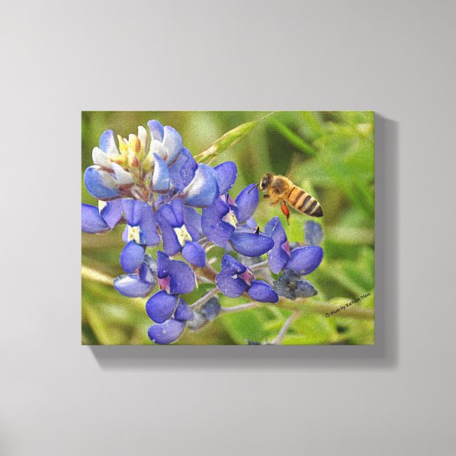 Bluebonnet and Bee photo canvas (Front)