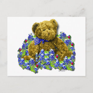 Bluebonnet Bear Postcard
