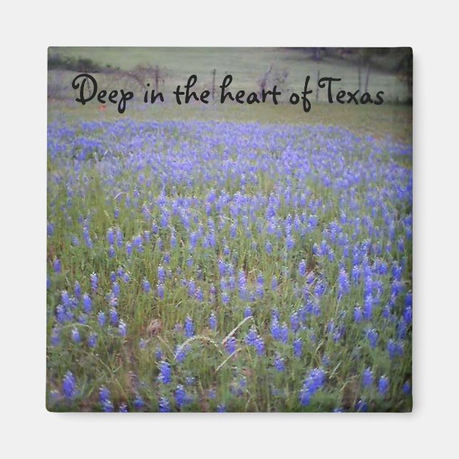Bluebonnet Field phrase magnet (Front)