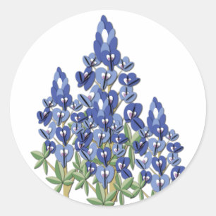 Bluebonnet Sticker