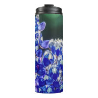 Bluebonnet