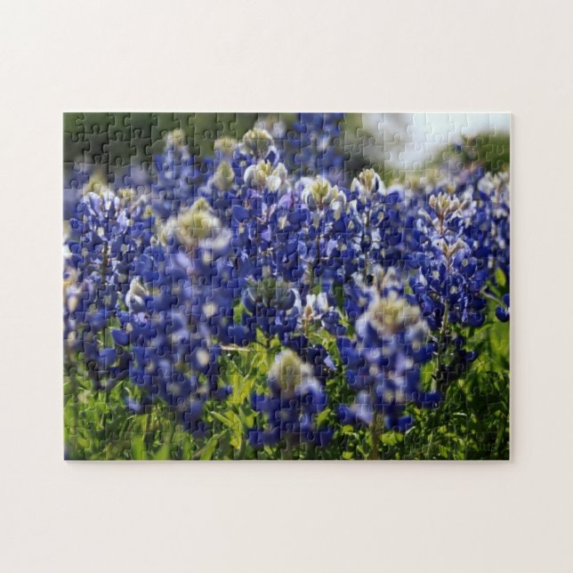 bluebonnet wildflower jigsaw puzzle (Horizontal)