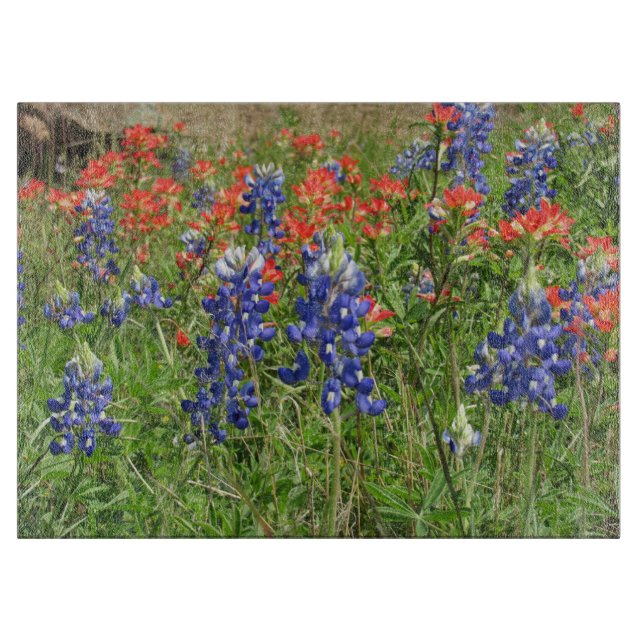Bluebonnets and Indian Paintbrushes Cutting Board (Front)